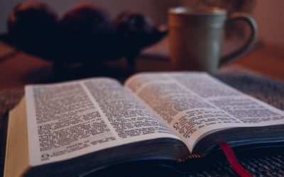 Ako a prečo čítať žalmy – práve dnes!